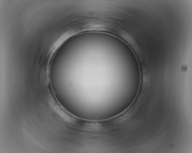 X0000111821370200907231308