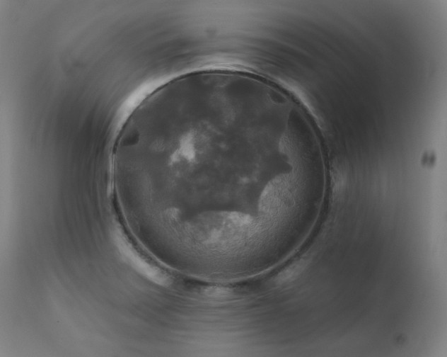 X0000111821371200907231308