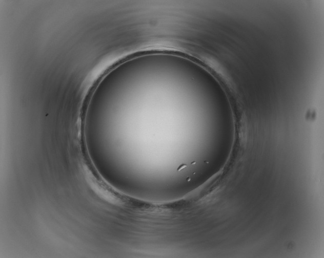 X0000111821372200907231308
