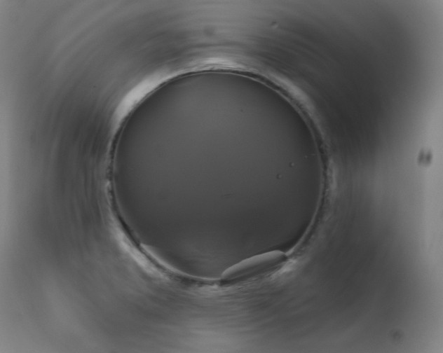 X0000111821373200907231308