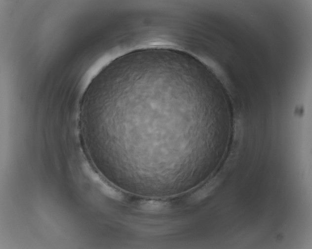 X0000111821374200907231308