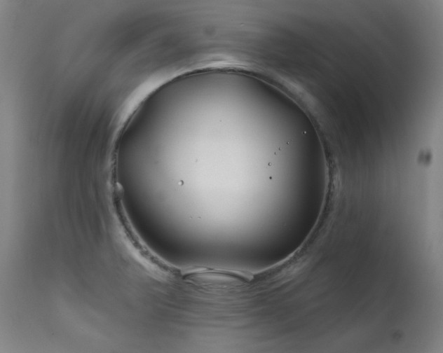 X0000111821375200907231308