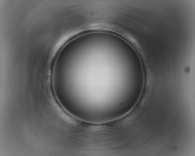 X0000111821376200907231308