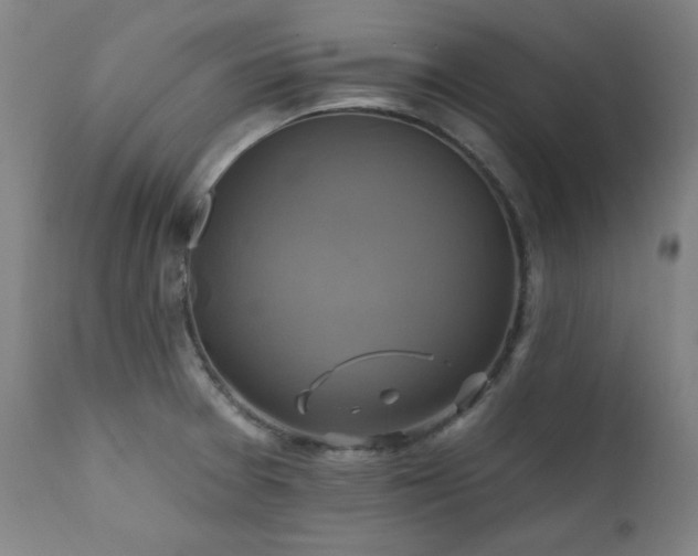 X0000111821377200907231308