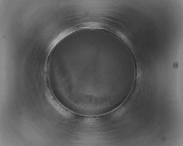 X0000111821378200907231308
