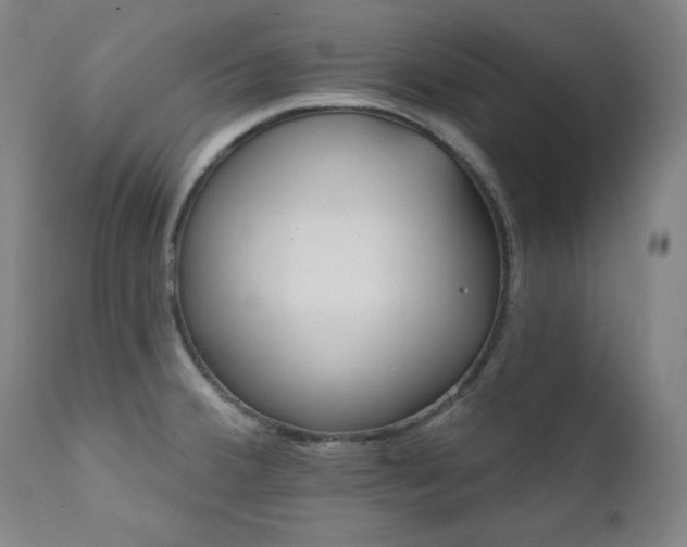 X0000111821380200907231308