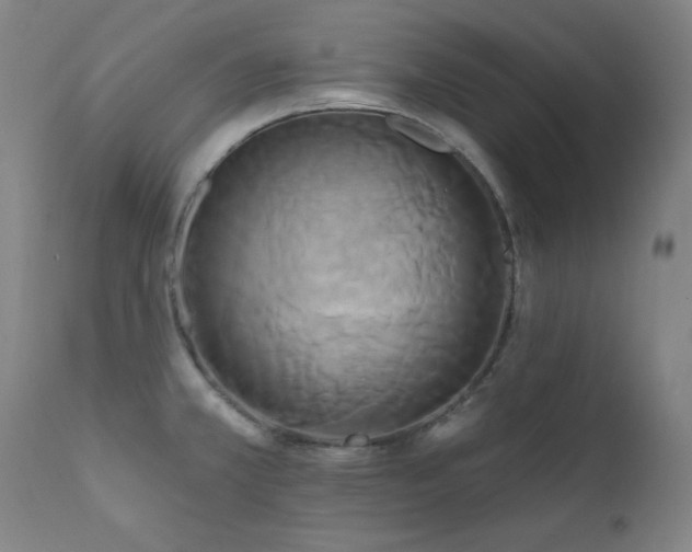 X0000111821381200907231308
