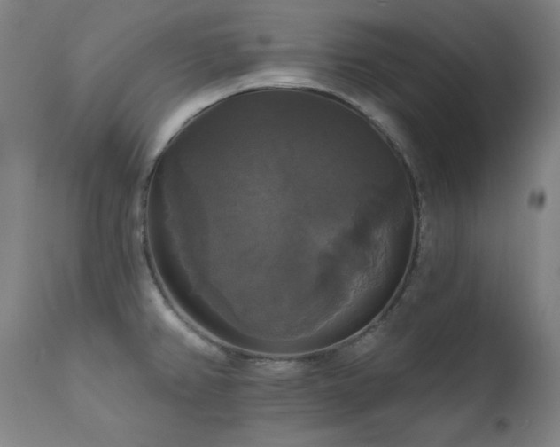 X0000111821382200907231308