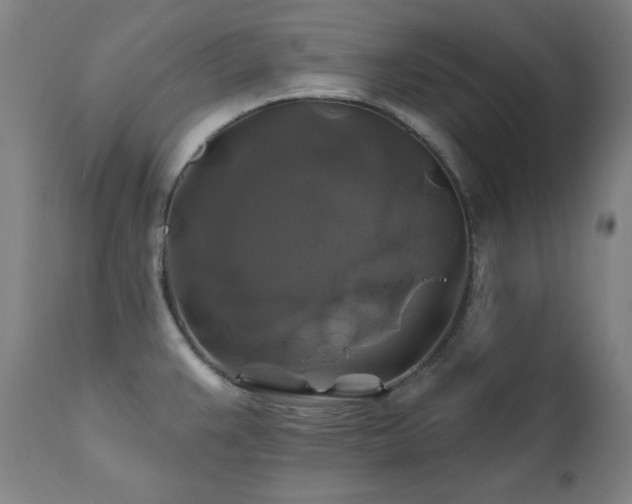 X0000111821383200907231308