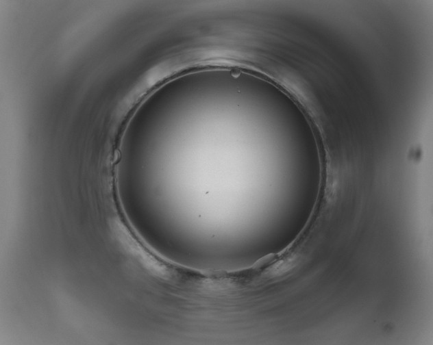 X0000111821384200907231308