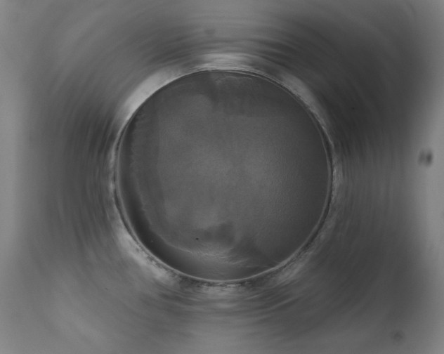 X0000111821386200907231307