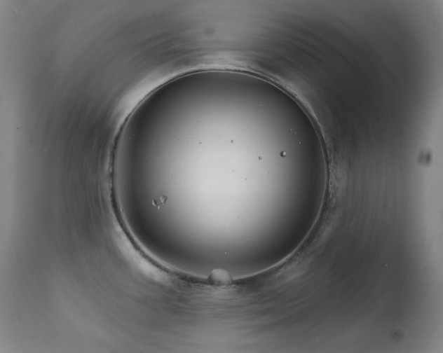 X0000111821387200907231307