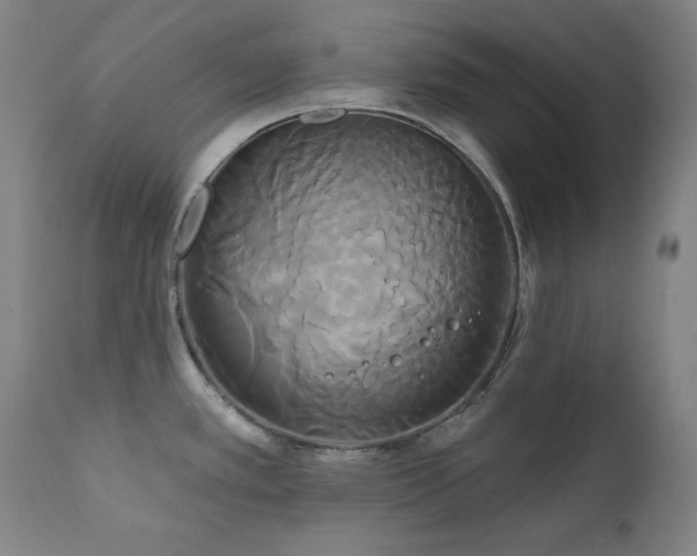 X0000111821389200907231307