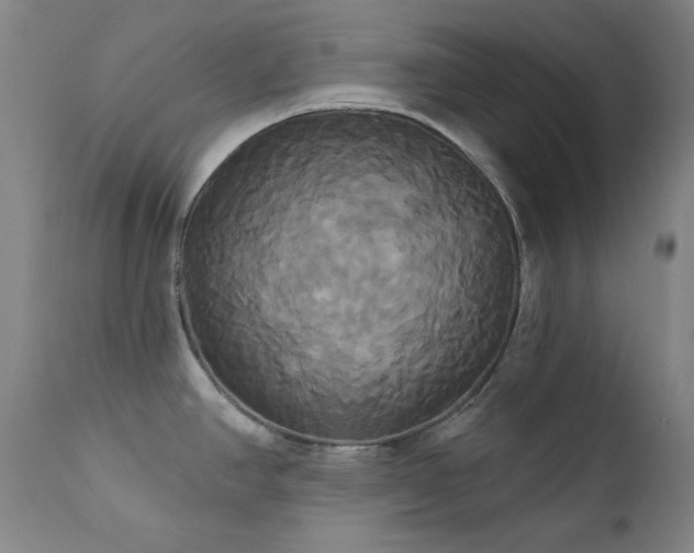 X0000111821390200907231307
