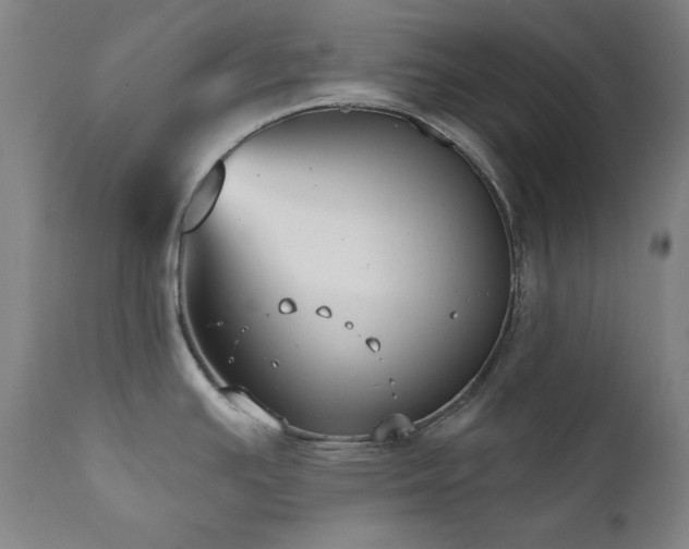 X0000111821391200907231307