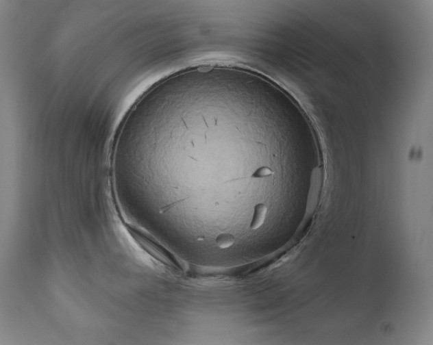 X0000111821392200907231307
