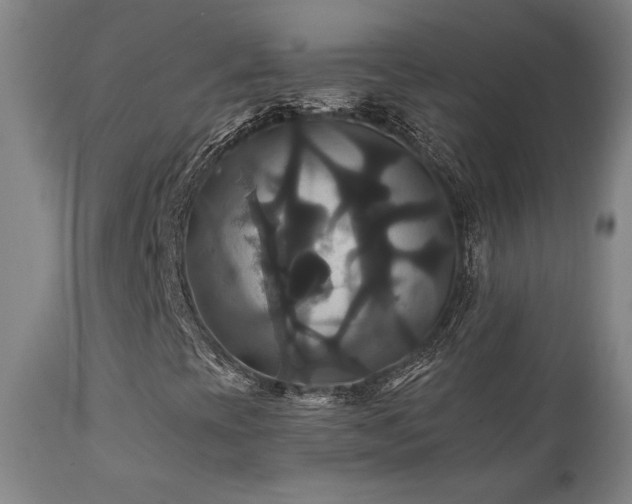 X0000111821393200907231307