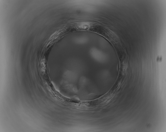 X0000111821394200907231307