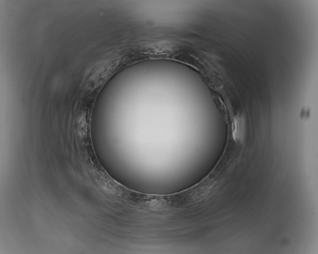 X0000111821395200907231307