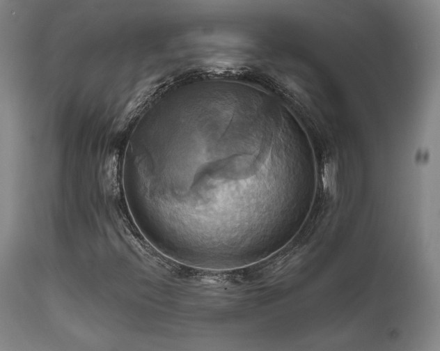 X0000111821396200907231307