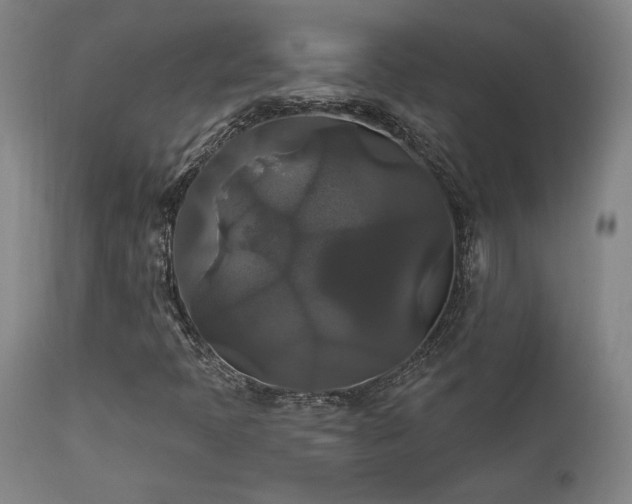 X0000111821397200907231307