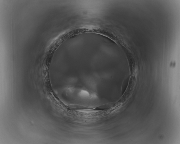X0000111821398200907231307