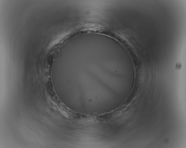 X0000111821399200907231307