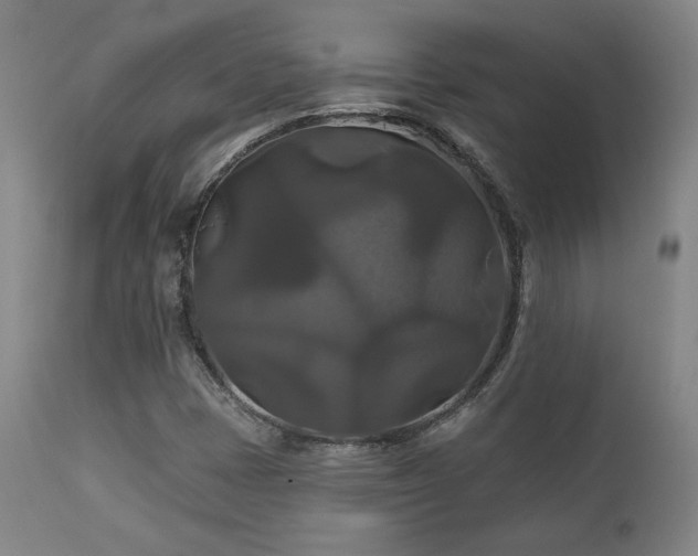 X0000111821401200907231307