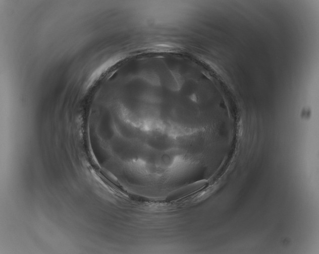 X0000111821402200907231307