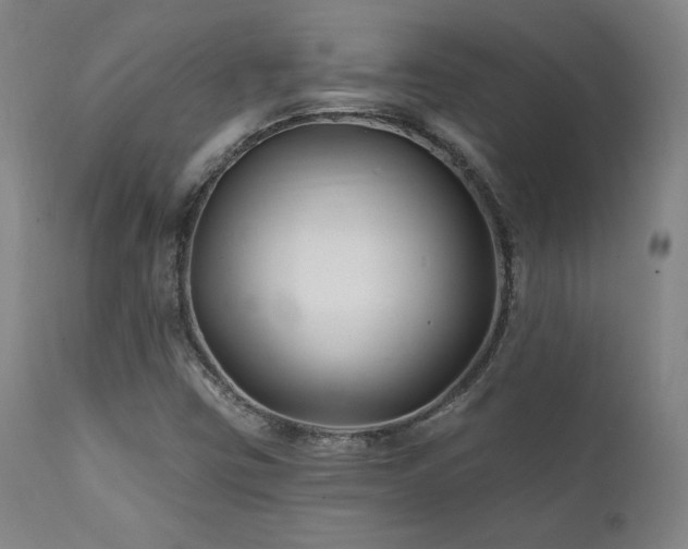 X0000111821403200907231307