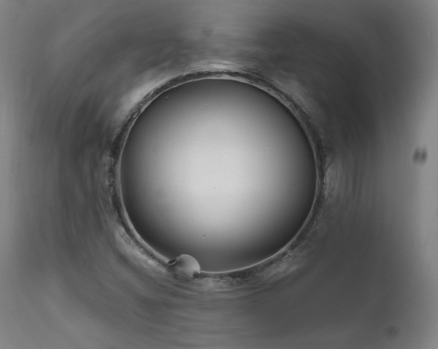 X0000111821404200907231307