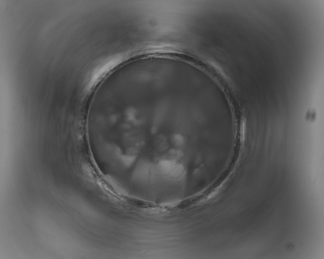 X0000111821405200907231307