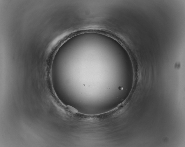 X0000111821406200907231307