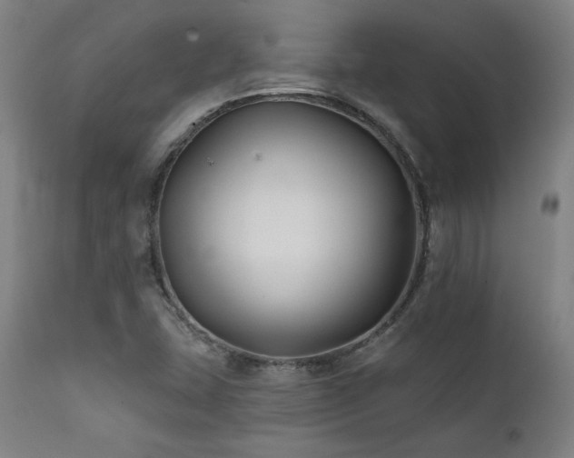 X0000111821407200907231307