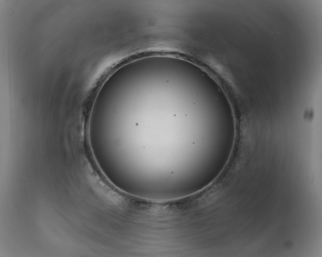 X0000111821408200907231307