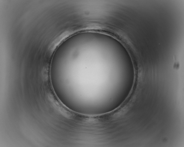 X0000111821409200907231307