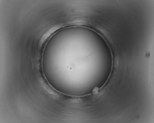 X0000111821410200907231307