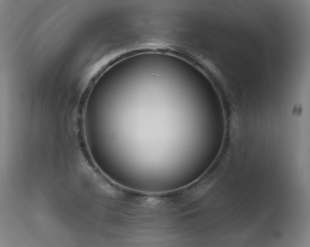 X0000111821412200907231307