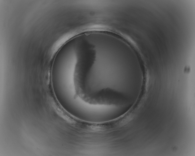 X0000111821413200907231307