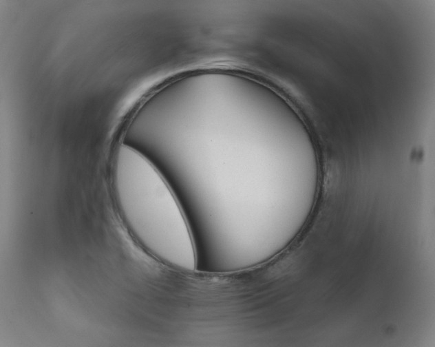 X0000111821414200907231307