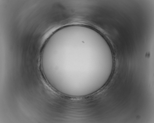 X0000111821415200907231307