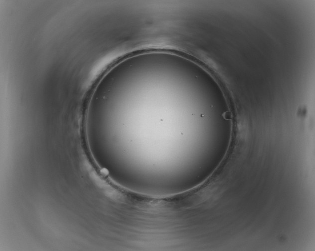 X0000111821416200907231307