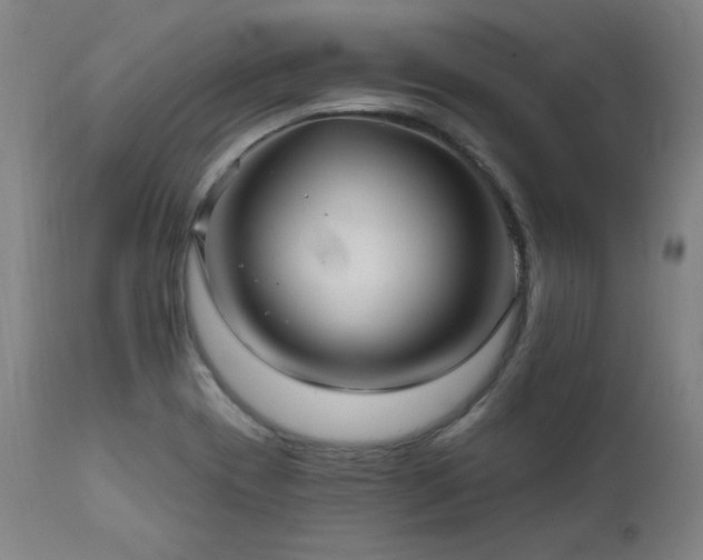 X0000111821417200907231307