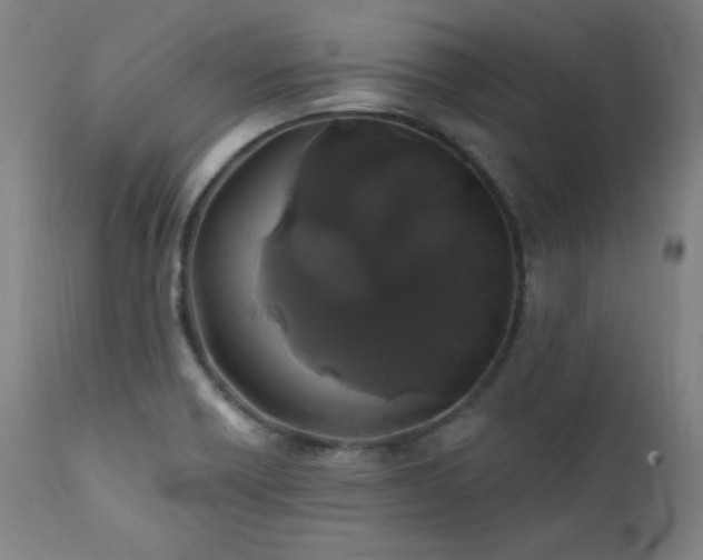 X0000111821418200907231307
