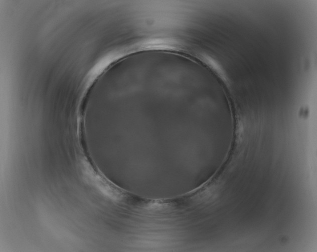 X0000111821419200907231307