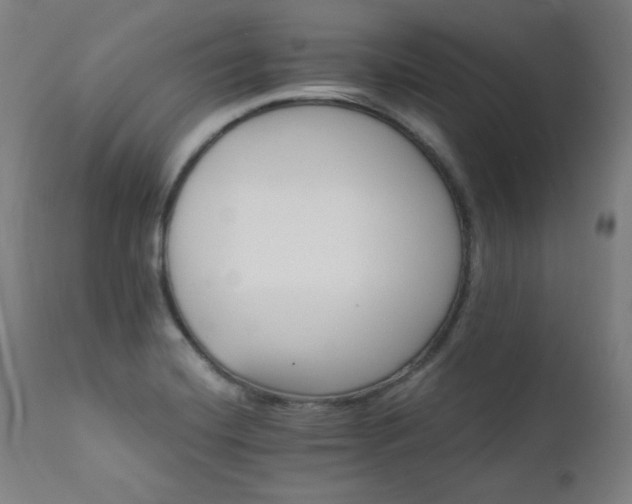 X0000111821420200907231307