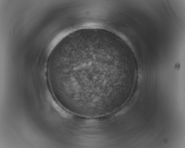X0000111821421200907231307