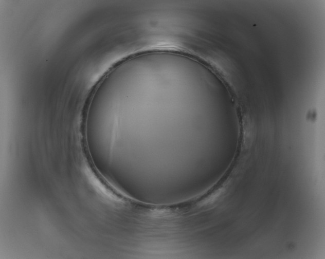 X0000111821422200907231307