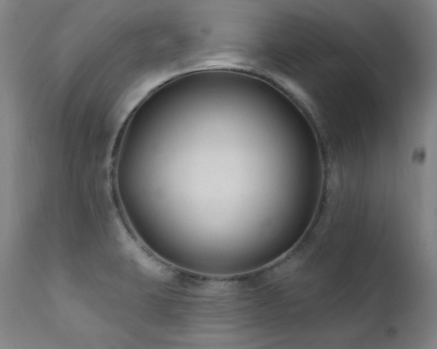 X0000111821423200907231307