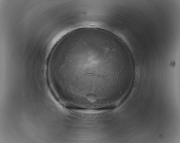 X0000111821424200907231307